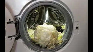 Experiment - Cabbage - in a Washing Machine - unbalanced Fight