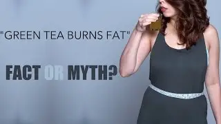 Green Tea For Weight Loss | Fact Or Myth
