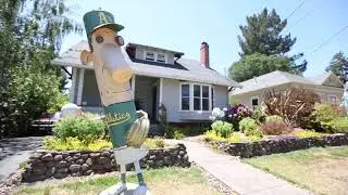 Living in Sebastopol ~ Terra Firma Global Partners