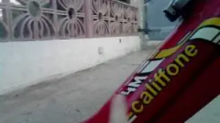 Il Mio Rizzato Califfone 4M: Scheda Tecnica
