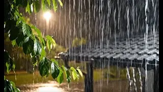 10 hours Rain Sounds for Sleep 🌧️ | Peaceful Night Rain for Relaxation, Study & Stress Relief