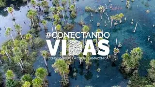 Las llanuras inundables de la Amazonía