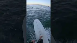 Aboard a 7&rsquo;2 Liddle Death Machine #surfboardreview #surfing #inspo #beach
