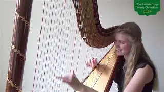 G&uuml;naydın Longa from The Turkish Harp Project