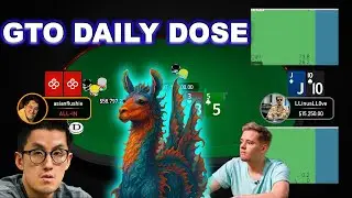 SeaLlama, LLinusLLove (Linus Loeliger), asianflushie: GTO Poker Training Observing the BEST