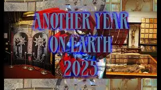 Another Year on Earth / All pictures from my phone in 2025