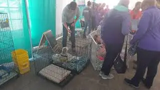 Colonial Capital Humane Society and ENC show
