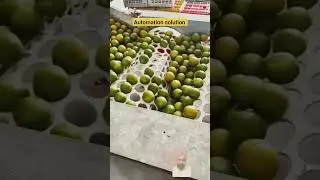#lemon #food #foodlover #machine #packing #lemonade #diy #trending #usa #uk #tamil #canada #germany