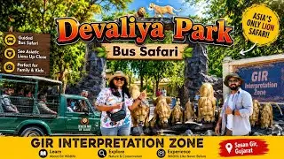 Devaliya Jungle Safari || Gir Interpretation Zone || Gujarat 🦁🦁