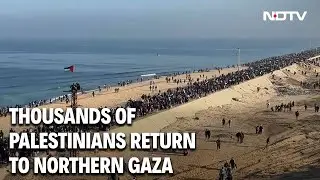 Gaza News | Palestinians Return To Gaza | Israel Hamas Ceasefire | Gaza Latest News