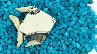 Money origami fish 🐟 Easy money gift idea for travel