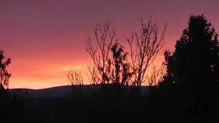 the Axent Man Whispers to Coyotes While Admiring a Mountain Sunset