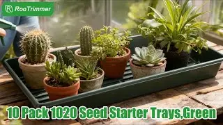 RooTrimmer 1020 Trays are perfect from seed starting and propagation to microgreens and wheatgrass.