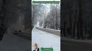 Я по первому снегу бреду/стихи/Есенин С.А.