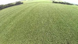 Progressive Ag