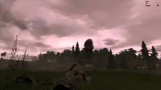 ArmA 2 CWR2 David Armstrong versus Guba's Hind