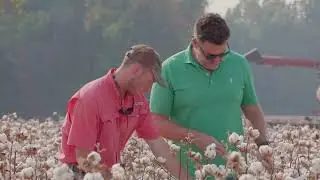 Less Risk, More Yield: Why This Arkansas Cotton Farmer Trusts Pivot Bio