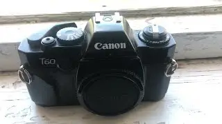 Canon T60 рычаг затвора застрял не двигается не снимает