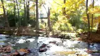 1912 Harwood Drive Lacona NY Backyard1