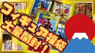 【福袋リベンジ】去年の悔しさを胸に…2025年版は一味違った!?【2025年元旦秋葉原】