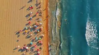 Seaside Tropical Lofi Hip-Hop 🌊 Chill Beach Study Music | Long-Form Ambient Beats