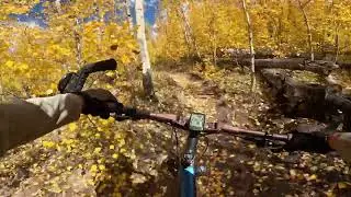Independent trail Fall 24