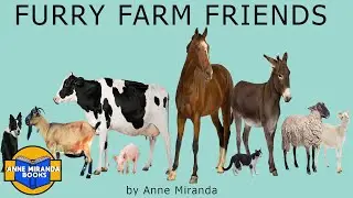 FURRY FARM FRIENDS - what can you find on a farm?