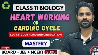 How Human Heart Works | Cardiac Cycle Explained L-13 | Body Fluids & Circulation Class 11 NEET