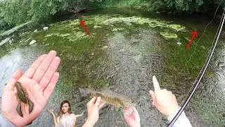 Summer Smallmouth Bass Fishing - ALL Grass, NO Problem!