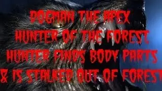 DOGMAN THE APEX HUNTER OF THE FOREST, HUNTER FINDS BODY PARTS & IS STALKED OUT OF FOREST