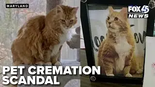 Catonsville pet cremation scandal: couple charged with theft and fraud