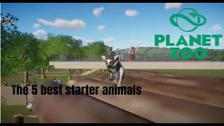 The 5 best starter animals in Planet Zoo
