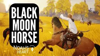 Noah's Heart HOW TO GET BLACK MOON HORSE? Bike Included! Beginners Guide (NEW MMORPG PC/mobile 2022)