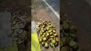 Bihar ka famous fal feda | taad ka fal #bihar #feda #taadi #famous #fruit