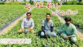 Watermelon | production technology of watermelon | تربوز کی کاشت| Farming in Pakistan | Tunnel farm