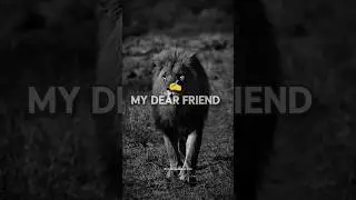 DONT WEST YOUR TIME COMPLETE WATCH THIS #shorts
