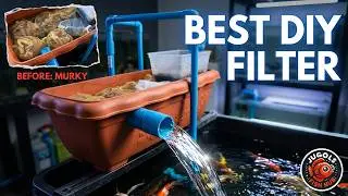 DIY Aquarium Top Filter Explained for Grow-Out Tubs