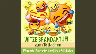 Witze etwas anr&uuml;chig aber total witzig