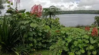 Amazing nature, the world is a wonderful place