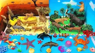 День приключений в мире животных 🌍🦁🐘🐠 | Лес – Саванна – Океан 🌴🌊