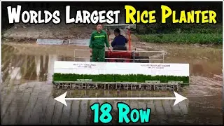 18 Row Rice Transplanter Machine | Largest Rice Planting Machine in the World