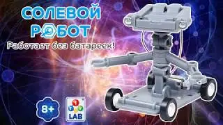 Salt robot