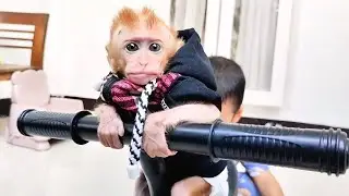 newborn baby monkey OMeGa was very happy to be invited to cycle with baby Isa