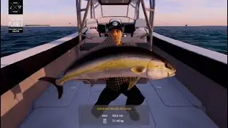 Unique Greater Amberjack - Noomaa Kuda Atholhu Maldives -  Fishing Planet