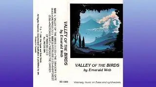 Emerald Web ~ Valley of the birds (1981) &bull; [cs rip] &bull; [ambient / new age]