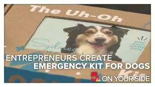 St. Louis-area entrepreneurs create at-home emergency kit for dogs