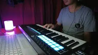 Raya Cover | Novation Launchkey | Music