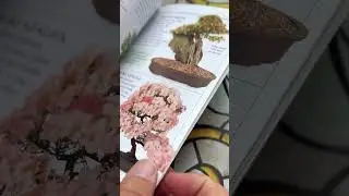 Best bonsai books for beginners: 101 Bonsai #bonsaitree #bonsaitrees #shorts