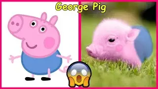 Peppa Pig Tales Characters Shocking Real Life 😲 July 2025