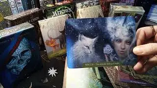 Fantasy Cats Oracle unboxing & reading